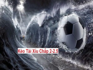 Giải thích cách đọc kèo tài xỉu 2-2.5