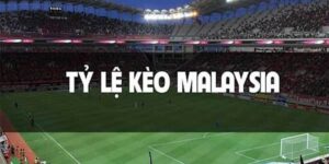 Tỷ lệ kèo Malaysia là gì