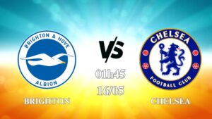 Nhận định Brighton vs Chelsea 01h45 ngày 16/05: The Blues quyết thắng