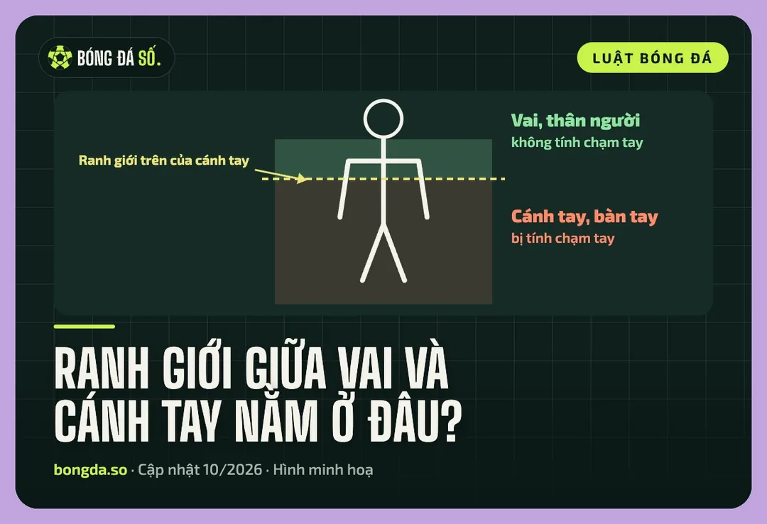 Hình người chú thích ranh giới chạm tay: phần trên đường ngang đáy nách là vai, phần dưới là cánh tay