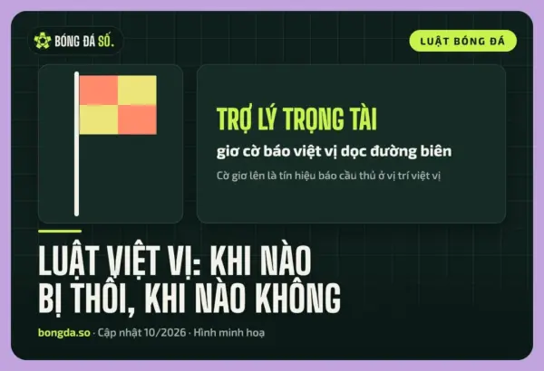 hinh tro ly trong tai gio co bao