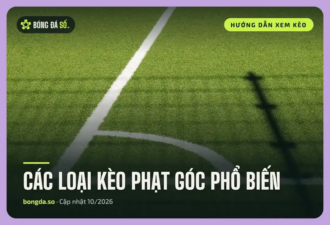 Kèo phạt góc là gì? Cách đọc tài xỉu phạt góc, chấp phạt góc và dữ liệu cần xem 2 Các loại kèo phạt góc: vạch vôi cung phạt góc và bóng cột cờ trên mặt cỏ