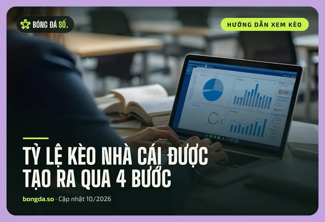 Tỷ lệ kèo nhà cái được tạo từ dữ liệu: người xem biểu đồ phân tích trên máy tính