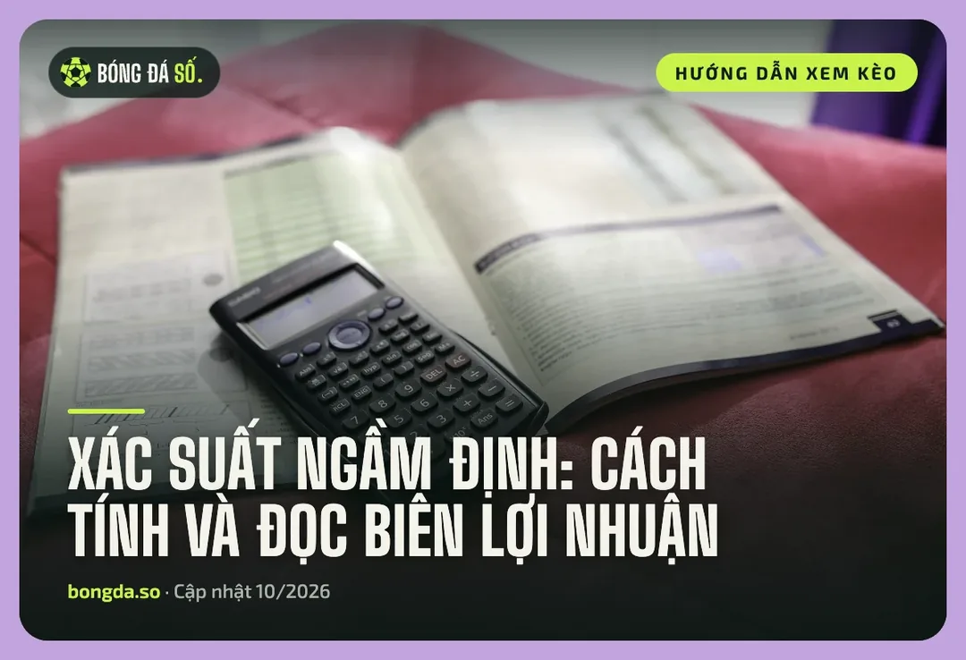 Xác suất ngầm định trong tỷ lệ kèo: Cách tính và đọc biên lợi nhuận 3 Xác suất ngầm định trong tỷ lệ kèo: máy tính và biểu đồ số liệu