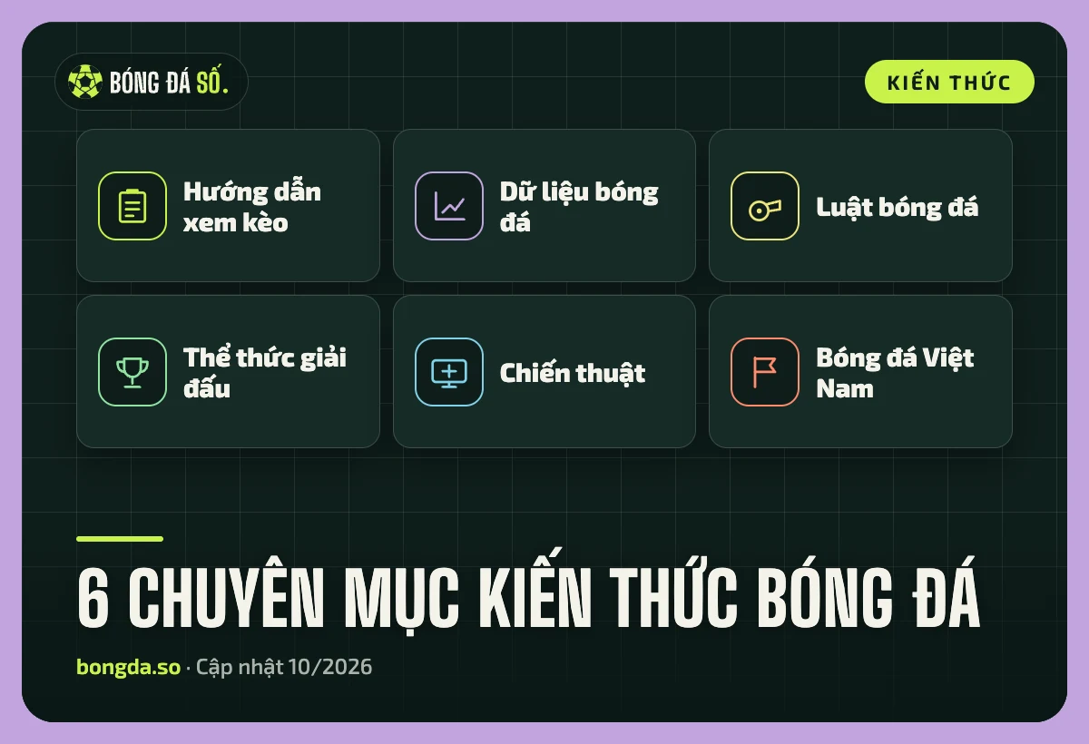 Sáu chuyên mục của Bóng Đá Số: hướng dẫn xem kèo, dữ liệu, luật, thể thức, chiến thuật và bóng đá Việt Nam