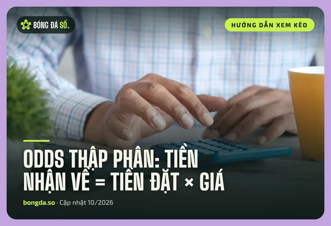Các loại odds trong bóng đá: Thập phân, Hồng Kông, Malaysia, Indonesia và cách quy đổi 2 Các loại odds quy ra tiền nhận về: người bấm máy tính trên bàn làm việc