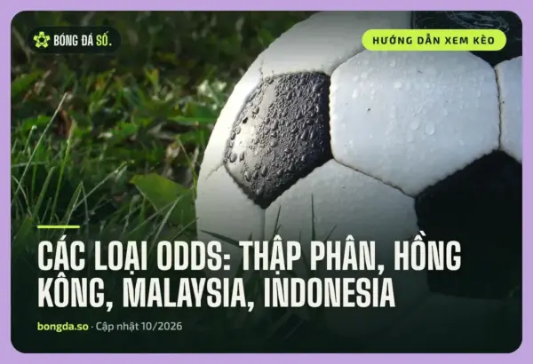 Các loại odds trong bóng đá: Thập phân, Hồng Kông, Malaysia, Indonesia và cách quy đổi 11 cac loai odds trong bong da qua bong