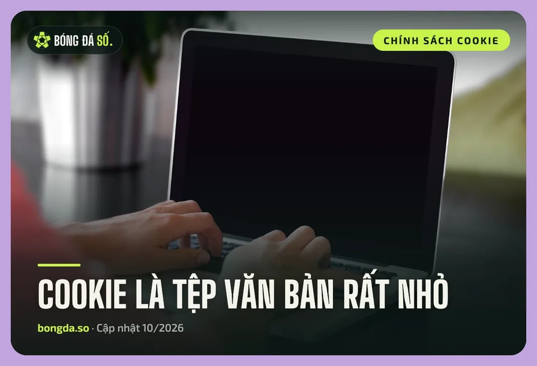 Chính sách cookie Bongdaso – Cookie là gì và anh em kiểm soát thế nào 1 Người dùng gõ máy tính xách tay, minh hoạ cookie là gì trong chính sách cookie Bongdaso