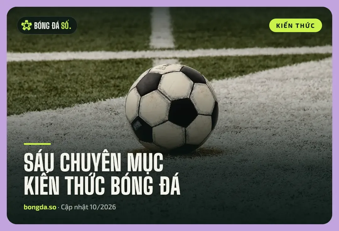 Bongdaso – Kèo nhà cái, tỷ lệ bóng đá và dữ liệu trận đấu cập nhật mỗi ngày 7 Quả bóng đặt ở góc sân, minh hoạ sáu chuyên mục kiến thức bóng đá của Bongdaso