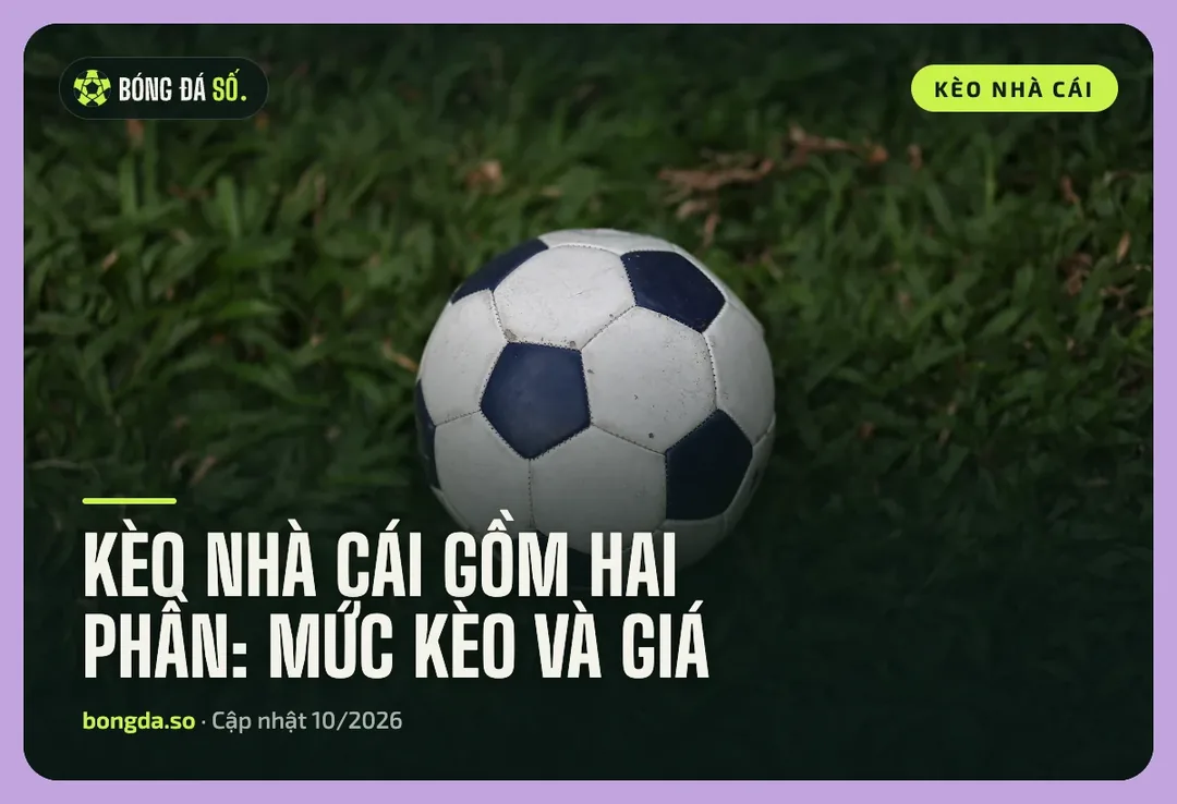 Bongdaso – Kèo nhà cái, tỷ lệ bóng đá và dữ liệu trận đấu cập nhật mỗi ngày 2 Quả bóng trên mặt cỏ, minh hoạ phần giải thích kèo nhà cái là gì trên Bongdaso