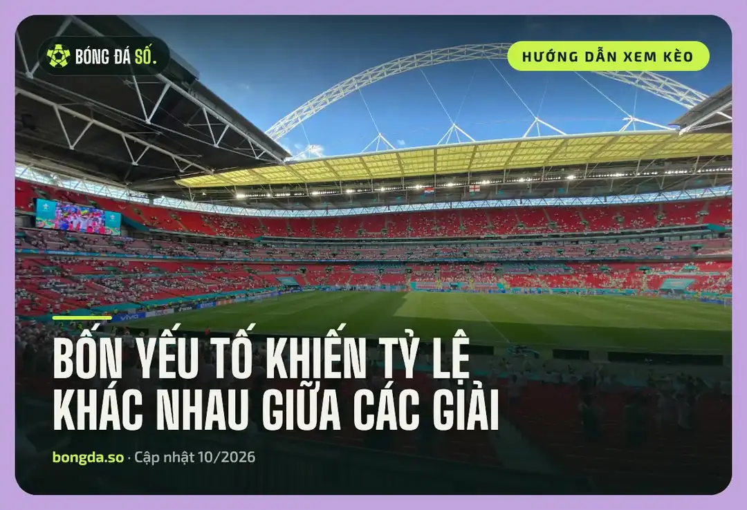 Tỷ lệ bóng đá kèo nhà cái theo từng giải: Vì sao cùng mức chấp lại khác nhau 1 Tỷ lệ bóng đá kèo nhà cái khác nhau giữa các giải: sân vận động lớn trước giờ thi đấu